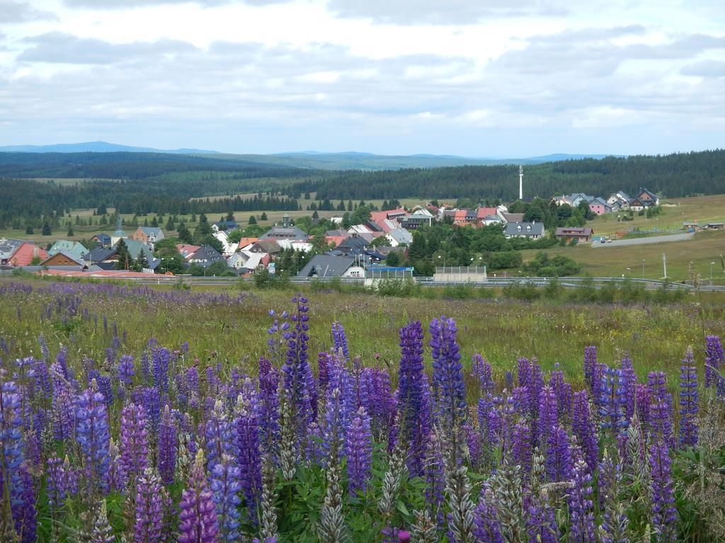Apartman U Klinovce Kovarska ภายนอก รูปภาพ